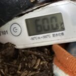堆肥づくりプロジェクト番外編