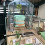 堆肥づくりプロジェクト番外編